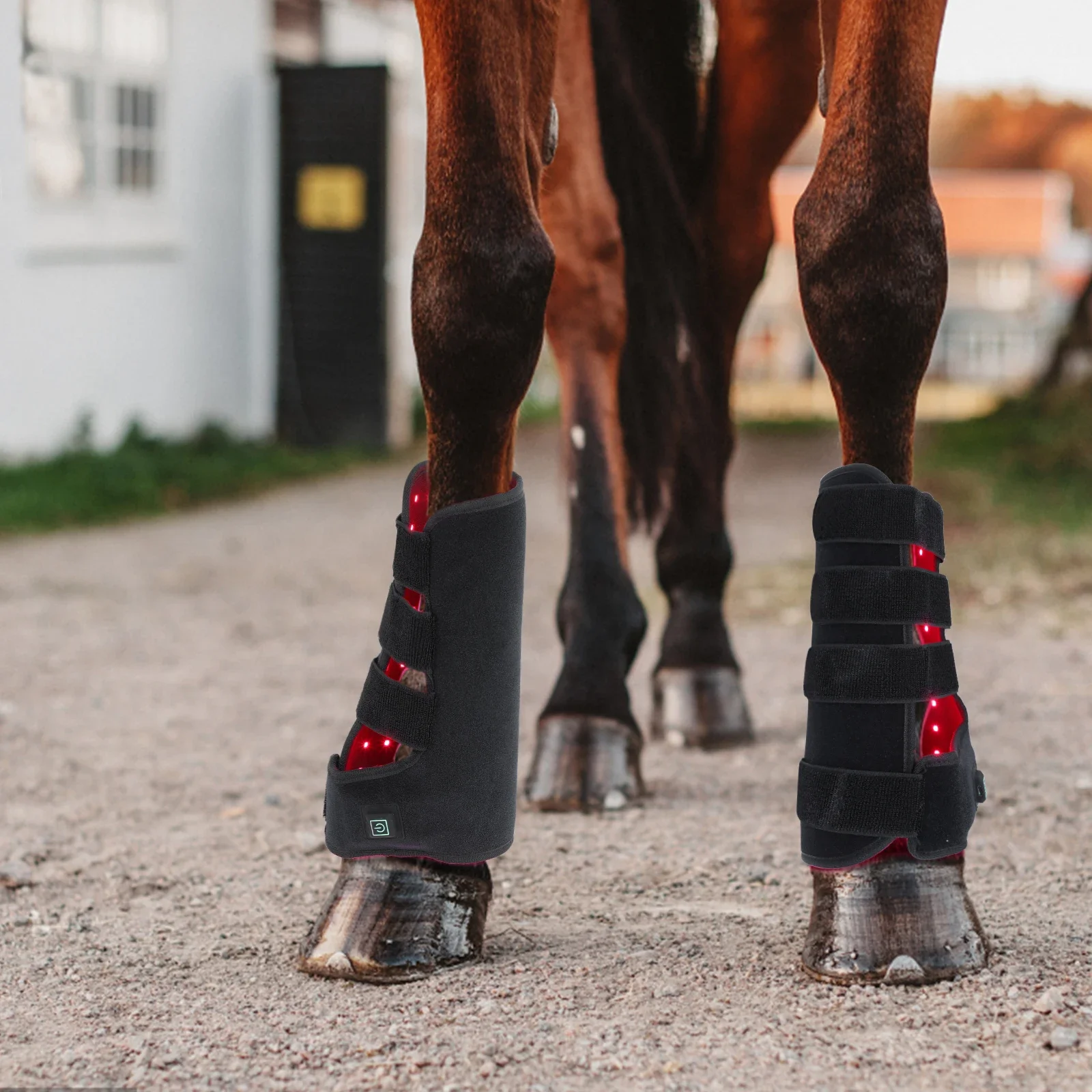 ผลิตภัณฑ์สำหรับขี่ม้าแบบใหม่ ใ - Brushing Boot Horse บทวิจารณ์และราคา