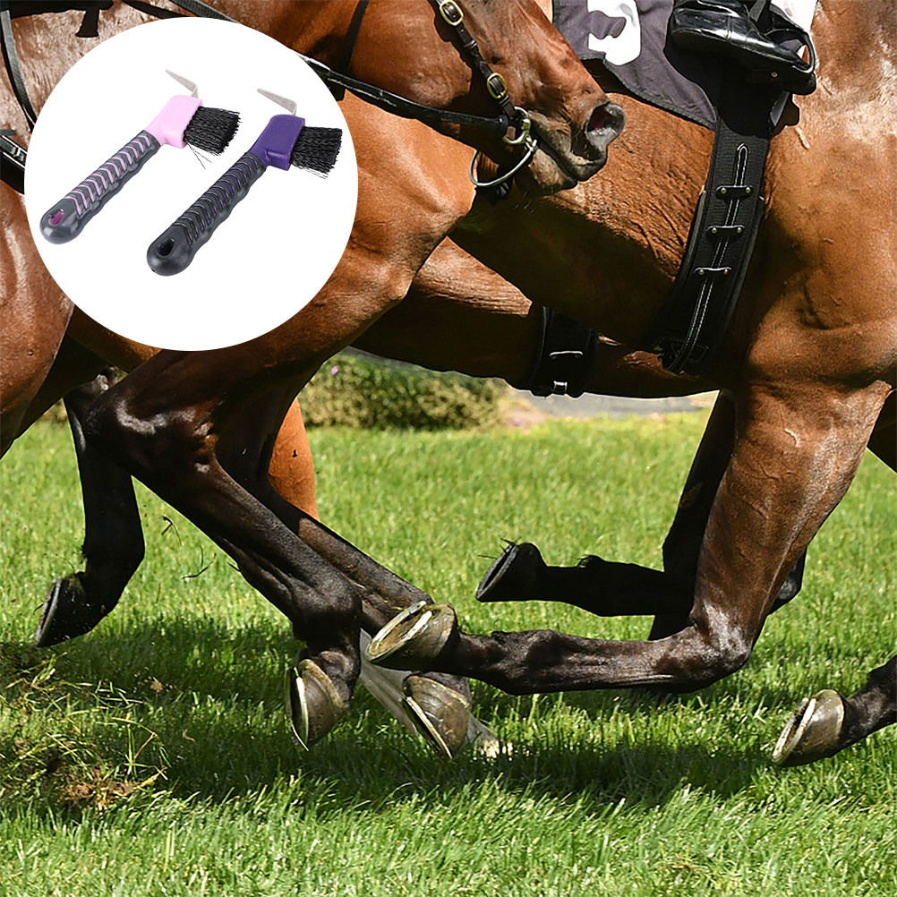 เครื่องมือทำความสะอาดกีบม้า 2  - Brushing Boot Horse บทวิจารณ์และราคา