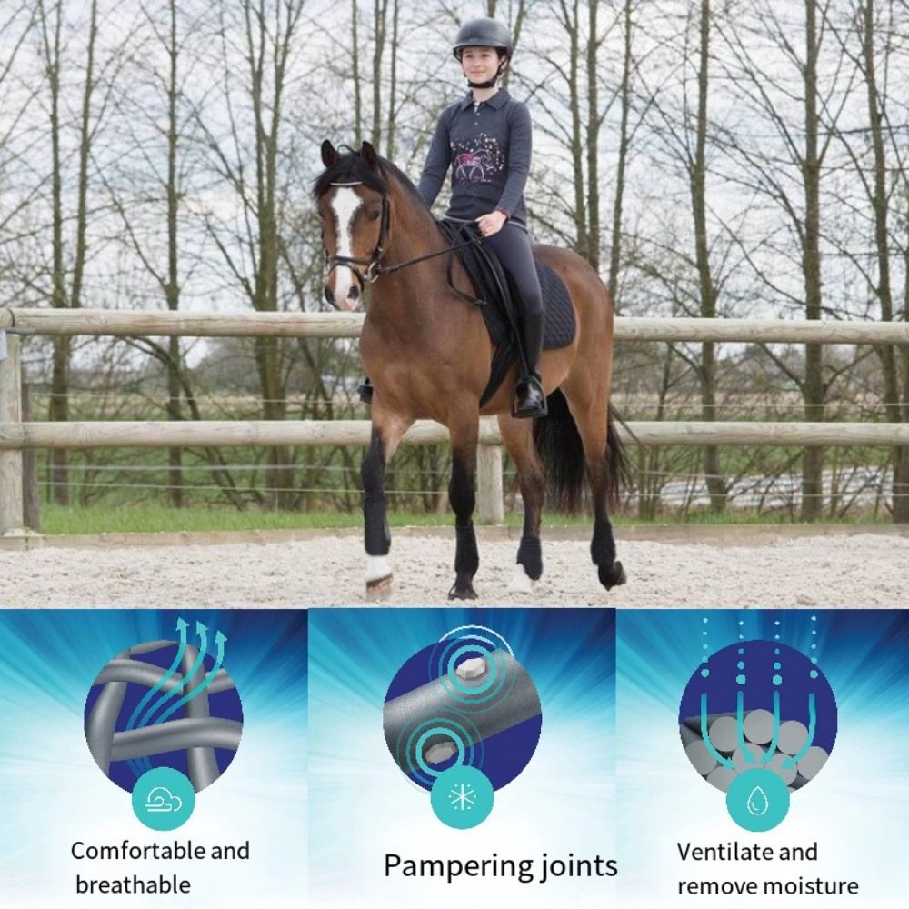 ชุดรองเท้ากีฬาสำหรับม้าหลากสี  - Brushing Boot Horse บทวิจารณ์และราคา