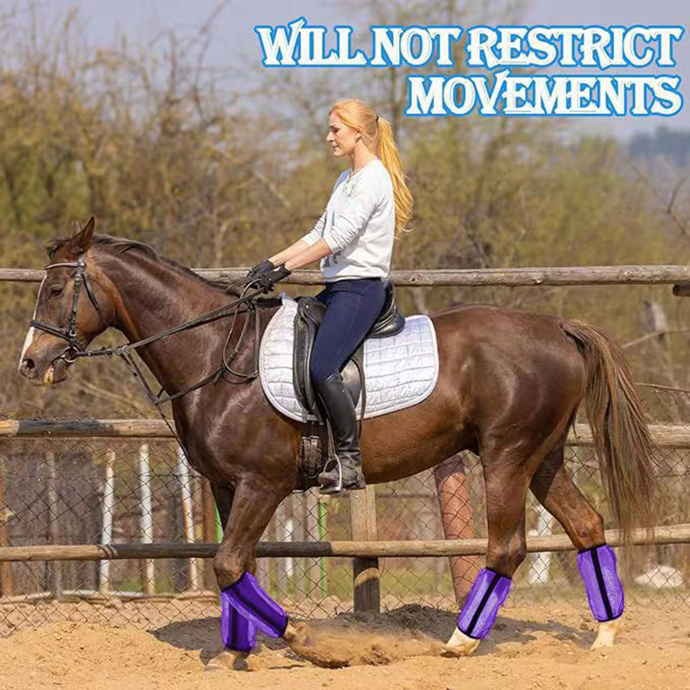 รองเท้าตาข่ายกันแมลงสำหรับม้า  - Brushing Boot Horse บทวิจารณ์และราคา